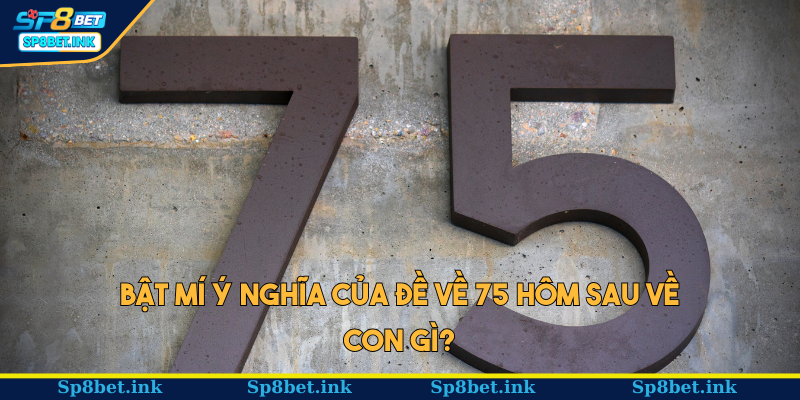 Bật mí ý nghĩa của đề về 75 hôm sau về con gì?