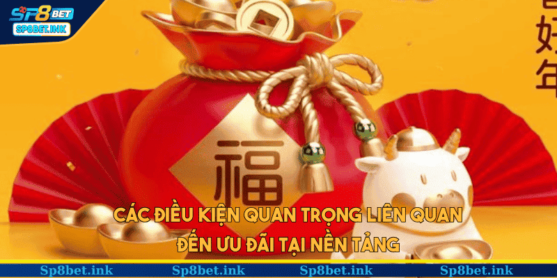 Các điều kiện quan trọng liên quan đến ưu đãi tại nền tảng