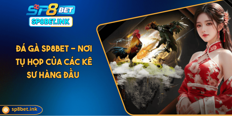 Đá Gà SP8BET - Nơi Tụ Họp Của Các Kê Sư Hàng Đầu 2025