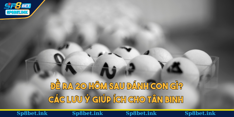 Đề ra 20 hôm sau đánh con gì? Các lưu ý giúp ích cho tân binh 