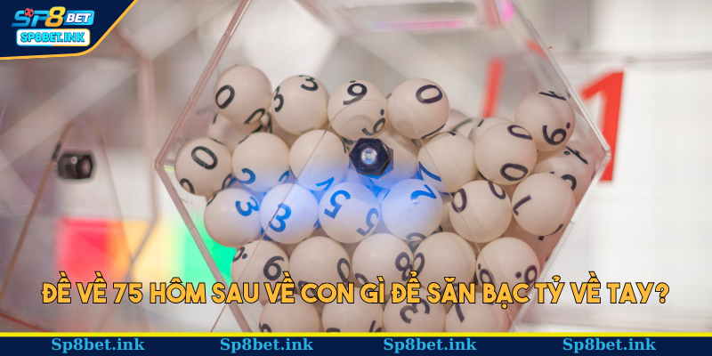 Đề về 75 hôm sau về con gì để săn bạc tỷ về tay?