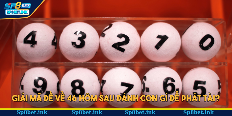 Giải mã đề về 46 hôm sau đánh con gì để phát tài?