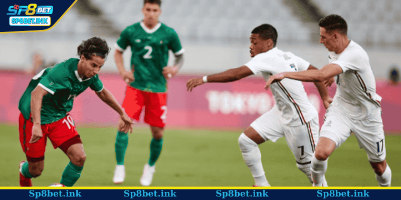 Lý do nên xem dự đoán bóng đá tại SP8BET