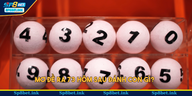 Mơ đề ra 73 hôm sau đánh con gì?