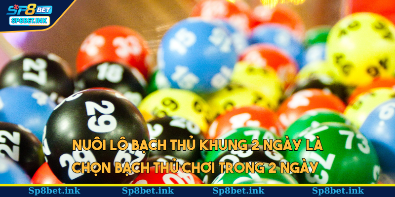 Nuôi lô bạch thủ khung 2 ngày là chọn bạch thủ chơi trong 2 ngày 