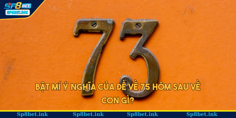 Vài nét thú vị về ý nghĩa của con số 73 