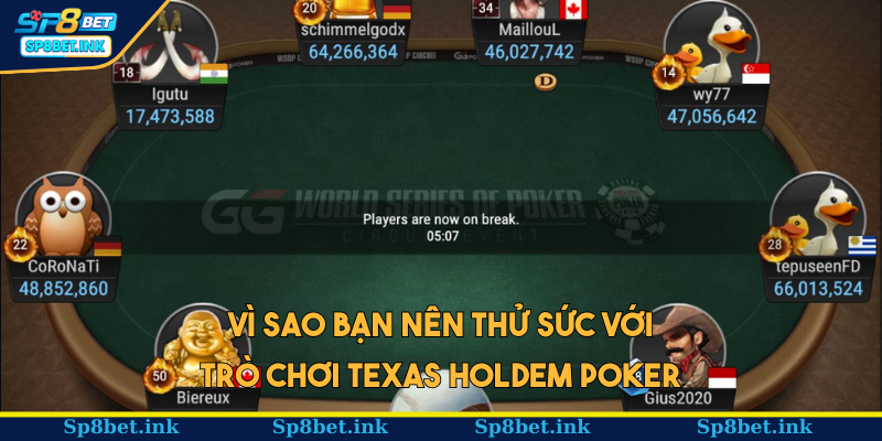 Vì sao bạn nên thử sức với trò chơi Texas Holdem Poker